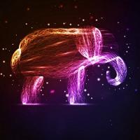 Полина Григорьева Полина Григорьева